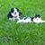 Jeanie Curry's profile image
