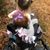 Megan Wise's profile image
