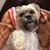 Dena Lantz's profile image