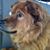 Gloria Brignola's profile image