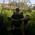Shane Cantrell's profile image