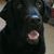 Donna Bolon's profile image
