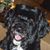 Cynthia Hobbs's profile image