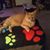 Carolyn Bybee's profile image