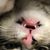 Brenda E. Skipper's profile image