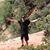 Pascal Hostettler's profile image