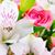 Harshita Tadi's profile image