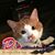 Yates Susan's profile image