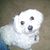 Madeline Merla's profile image