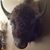 Ken Moore's profile image
