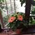 Annette LaPlante's profile image