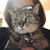 Dora J. Nerio's profile image