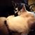 Jackie Marcus-Humitz's profile image