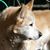 Judy Prow-Saldana's profile image
