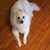 Mary Lou Patrick Haley's profile image