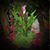 Jacqui Ensenbach's profile image