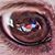 Ken Martin's profile image