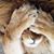 Stewart Pluck's profile image