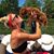 Sydney Silkey's profile image