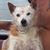 Lisa Beckman's profile image