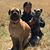 April Powell Tucker's profile image