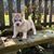 Tammy Melvin Durham's profile image
