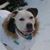 Terry Sullivan's profile image