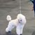 Darlene Brabant's profile image