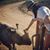 Marisol Martinez's profile image