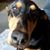 Julie Dorsey-Oskerka's profile image