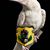 Christopher Kregger's profile image