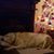 Tracy Dugaro Macioce's profile image