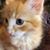Susan Patterson Feldkamp's profile image