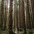 Michelle Claibourn Abendroth's profile image