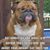 Brandy Lamping's profile image