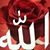 Hanan Kattoah's profile image