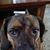 John Stimac's profile image
