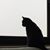 Dawn Janis's profile image