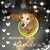 Morlene Rummel's profile image