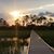 Tammy Hyson-Einsiedel's profile image