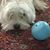 Marianne DeCaro's profile image