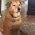 Kristi Oliver Delia's profile image