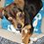 Mary Beth Perkins's profile image