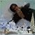 Carmelitta F. Tiffany's profile image