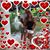 Laura Gifford Ginda's profile image