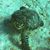 Elisabeth Hawksbee's profile image