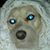Dawn Smith's profile image