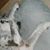 Shelley McMinn's profile image