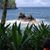 Kathy Swindler's profile image