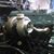 Kristy Transport's profile image